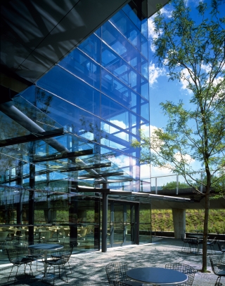 Exterior view of a glass building with the blue sky and white cloud visible through the walls. Cafe tables and a green tree is outside of the building.